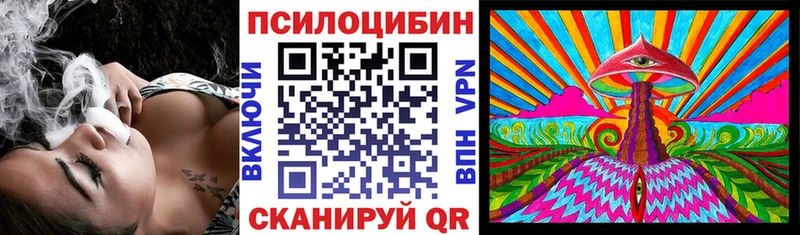blacksprut ССЫЛКА  Фролово  Галлюциногенные грибы Cubensis 